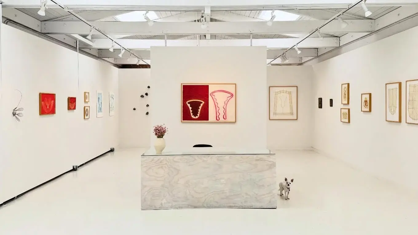 Chandler Gallery thumbnail