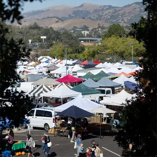 Sunday Marin Farmers Market