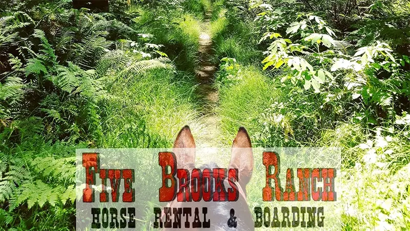 Five Brooks Ranch thumbnail