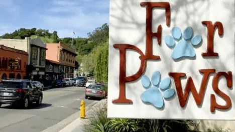For Paws thumbnail