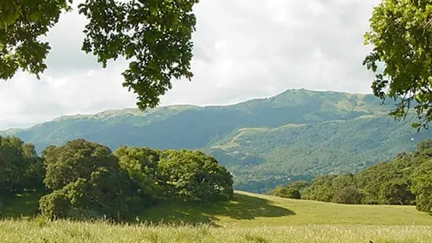 Mount Burdell Open Space Preserve thumbnail