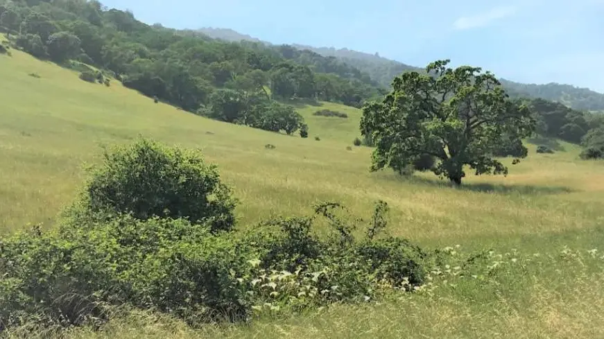 Olompali State Historic Park thumbnail