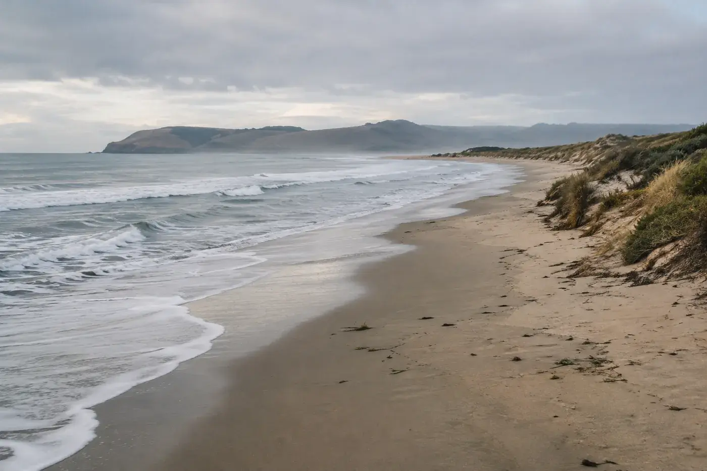 Quiet sandy bay shoreline under soft coastal light.