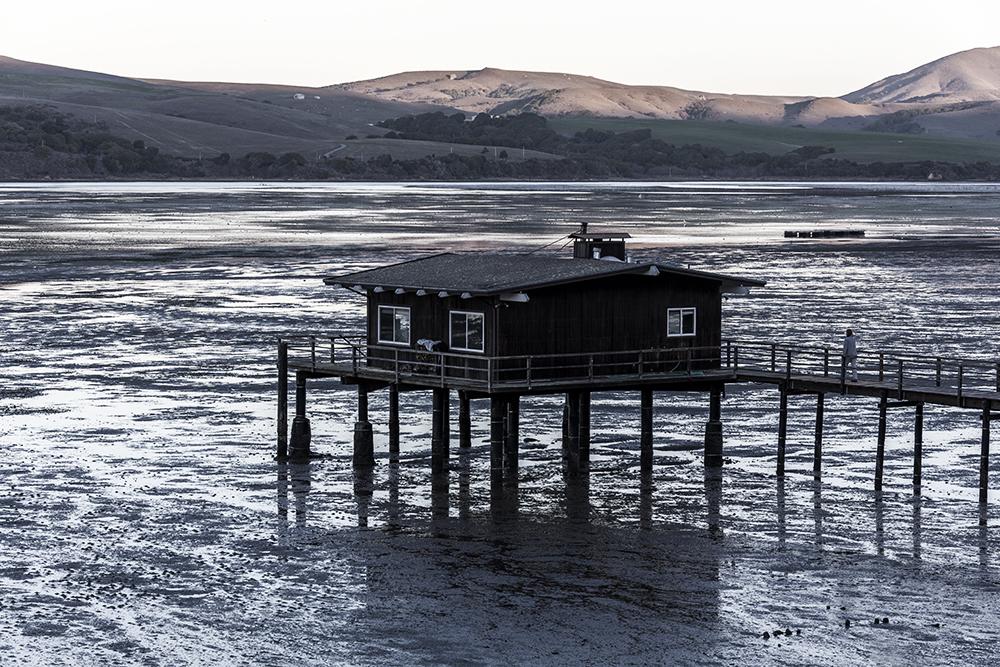 Inverness view across Tomales Bay featuring Nick's Cove - Photo: S.Skower