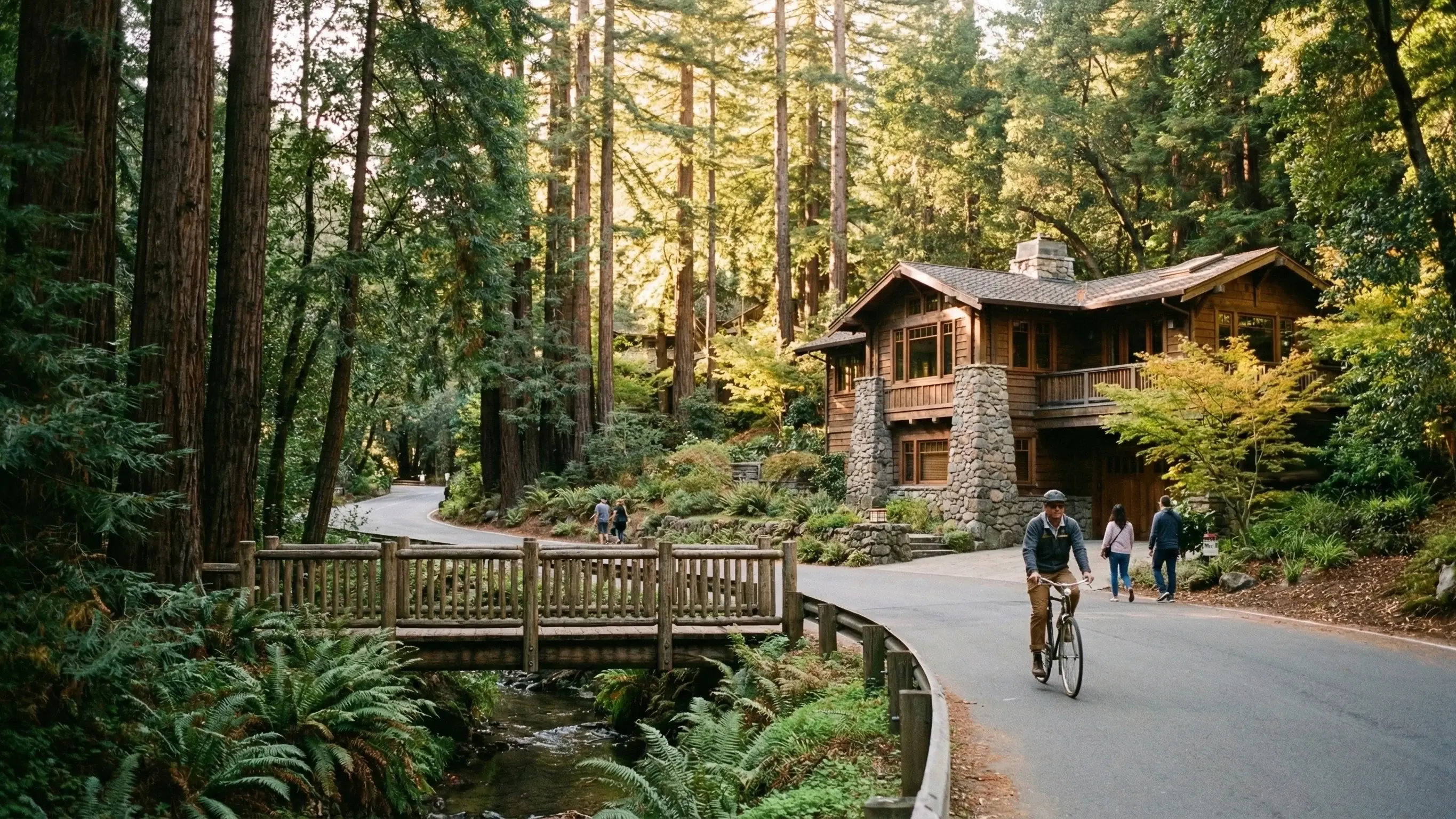 Biking through the Redwood Trees in Mill Valley. Ca