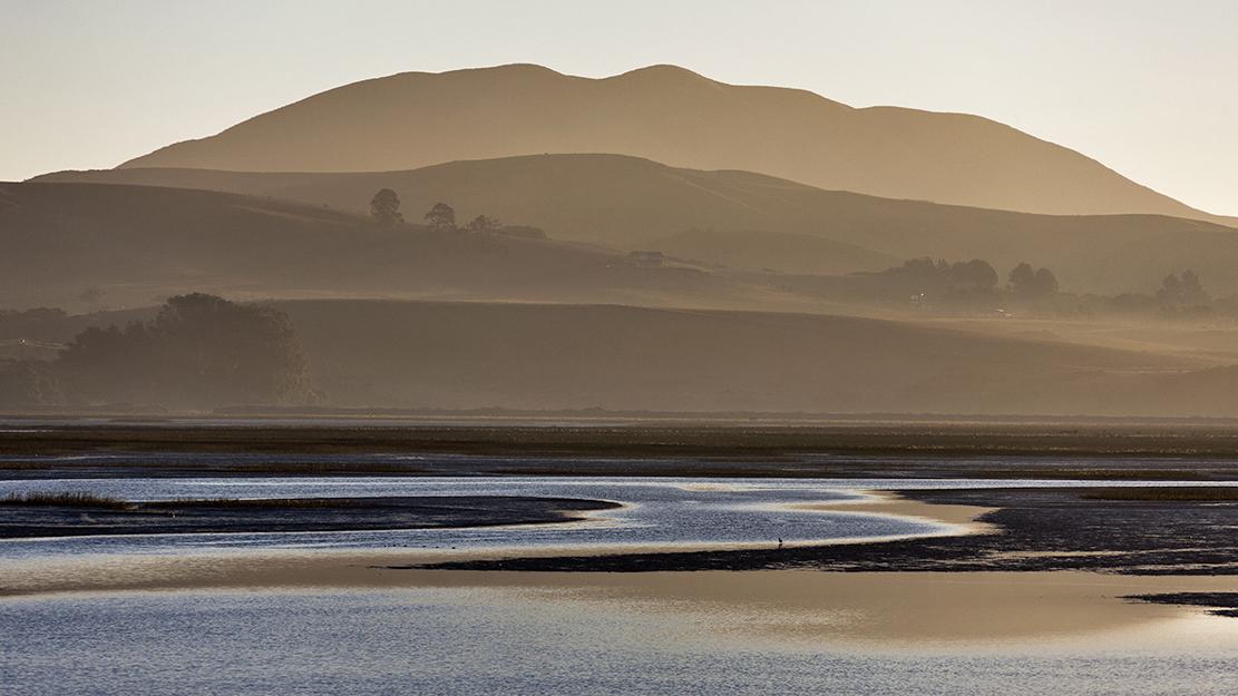 Tomales Bay shoreline - Photo: S.Skower