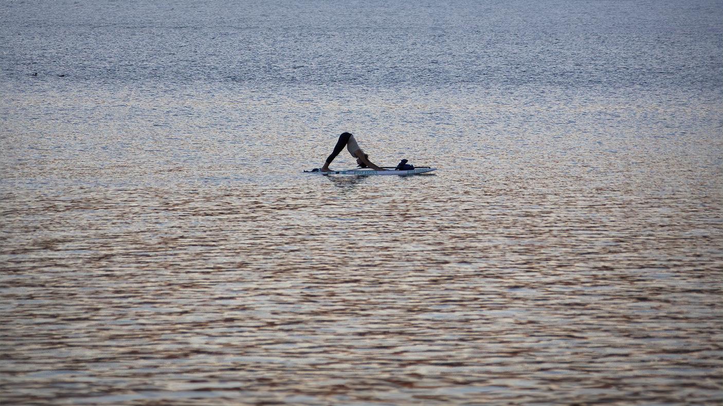Tomales Bay paddleboarding at sunset.
