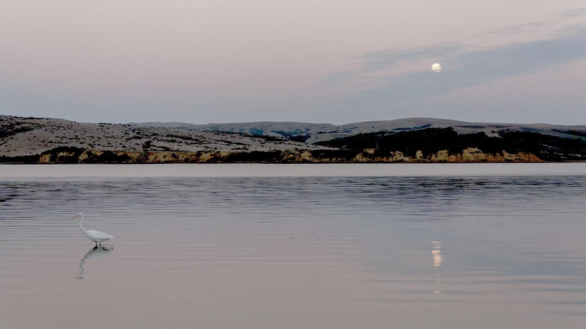 Tomales Moonrise - Photo: S.Skower