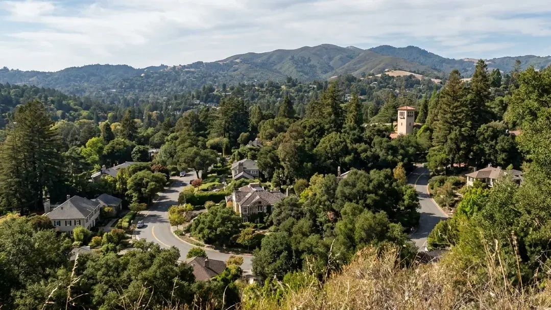Hillside view over Ross with a winding road, estate homes tucked in a dense redwood and oak canopy, the Montgomery Chapel tower, and rolling wooded hills beyond