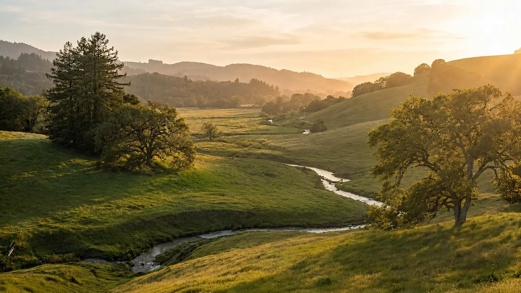 Open grassland valley and winding creek in Kentfield at golden hour, scattered oaks and evergreens on rolling hills toward forested ridges
