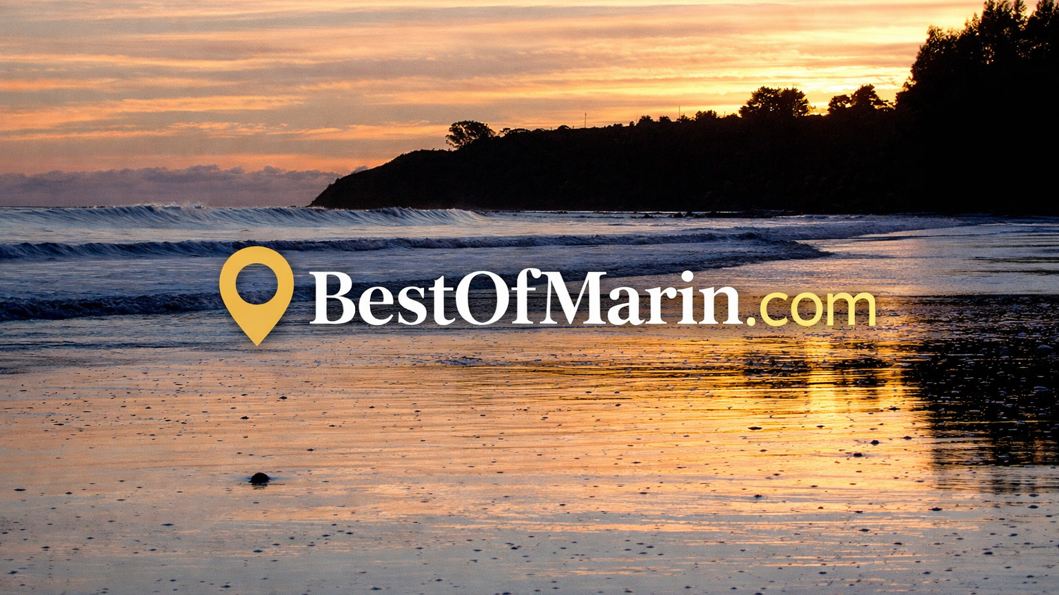Best of Marin share artwork