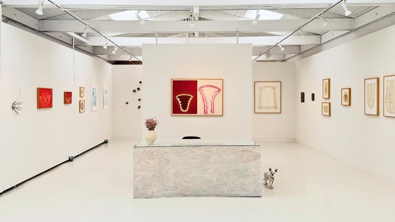 Chandler Gallery thumbnail