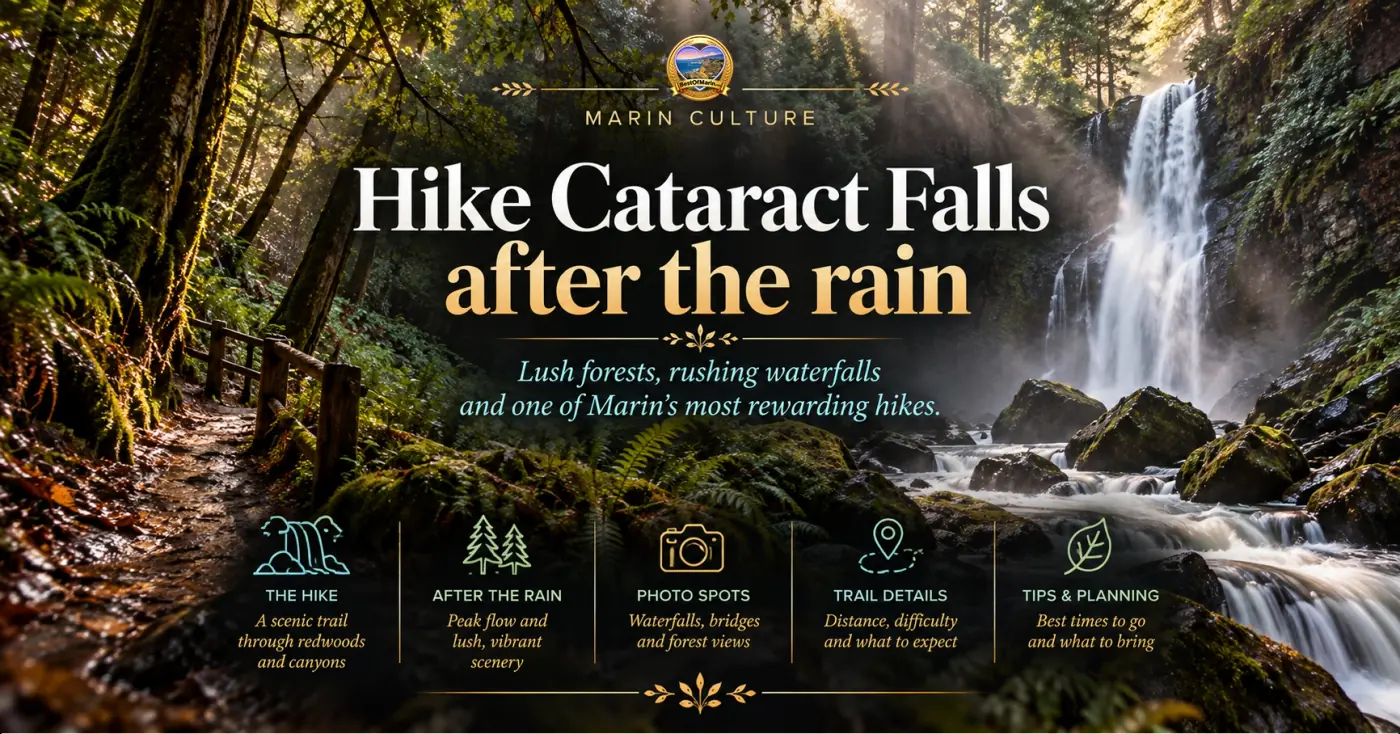 Hike Cataract Falls after the rain on Mount Tamalpais