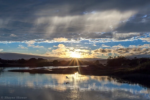 Bolinas Lagoon and coastal wetlands