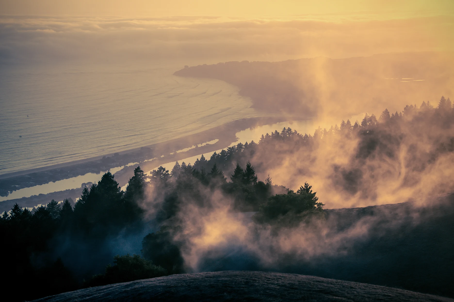 View from the top of Mount Tamalpais