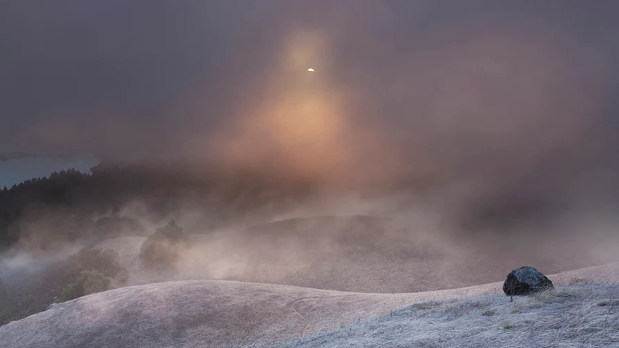 Mount Tamalpais State Park
