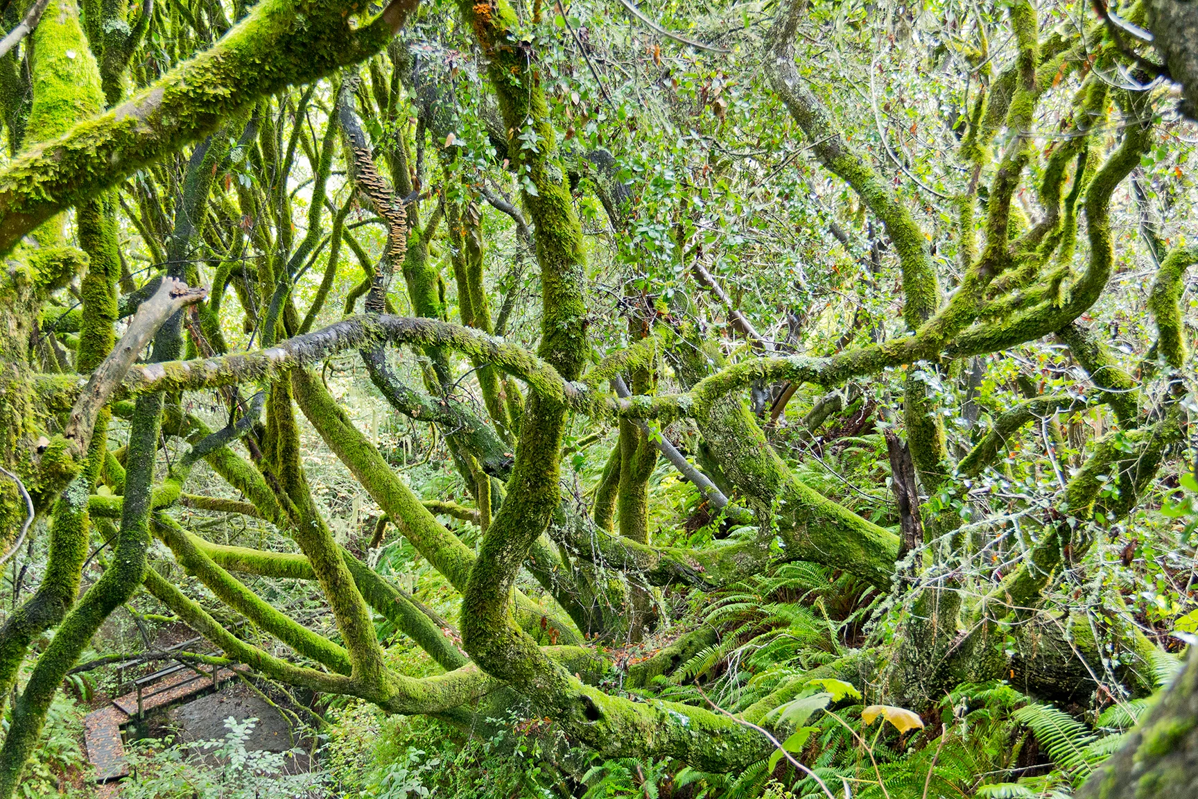 Nature in West Marin