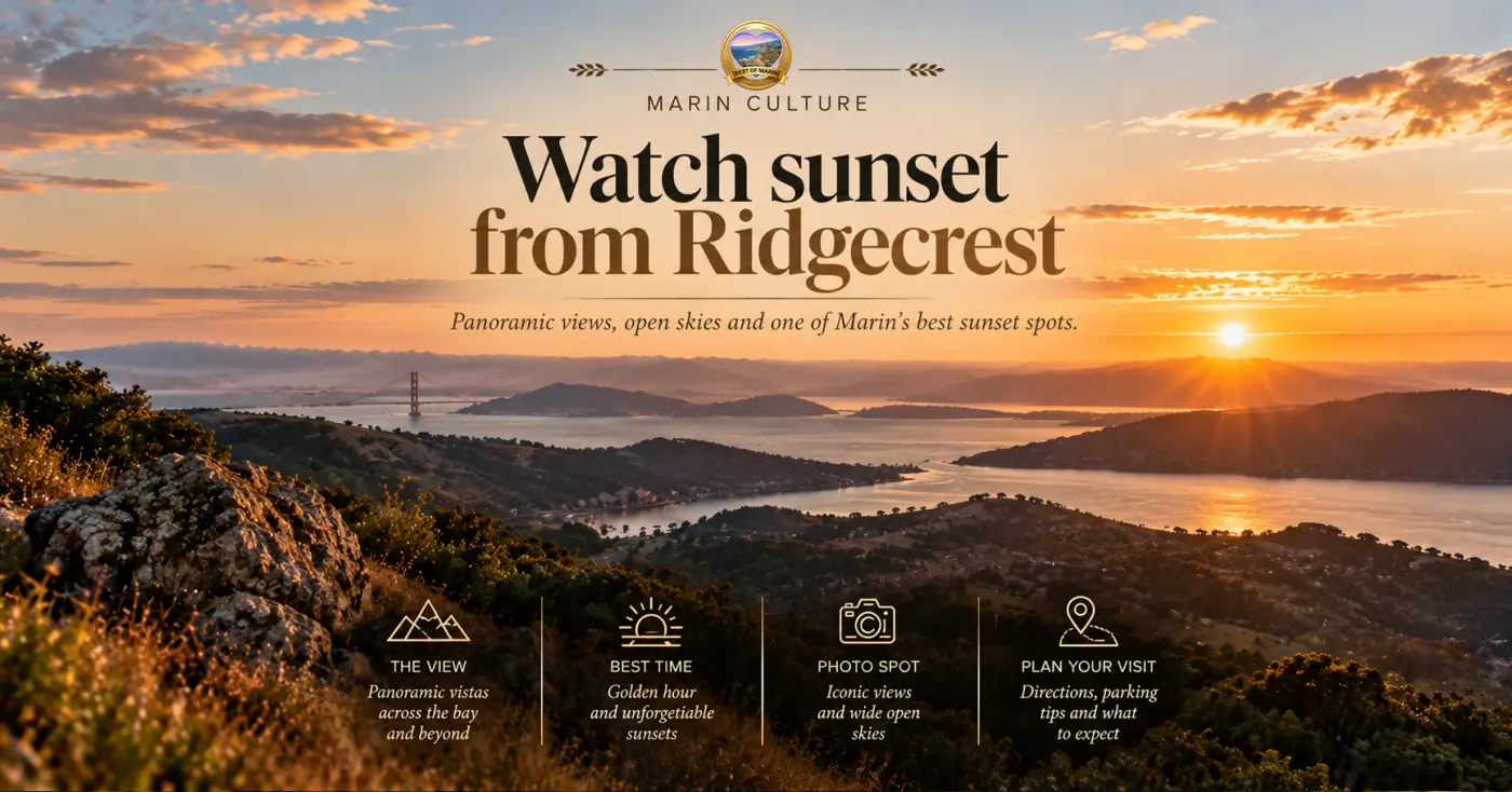 Golden-hour scenery on Mount Tamalpais at Ridgecrest