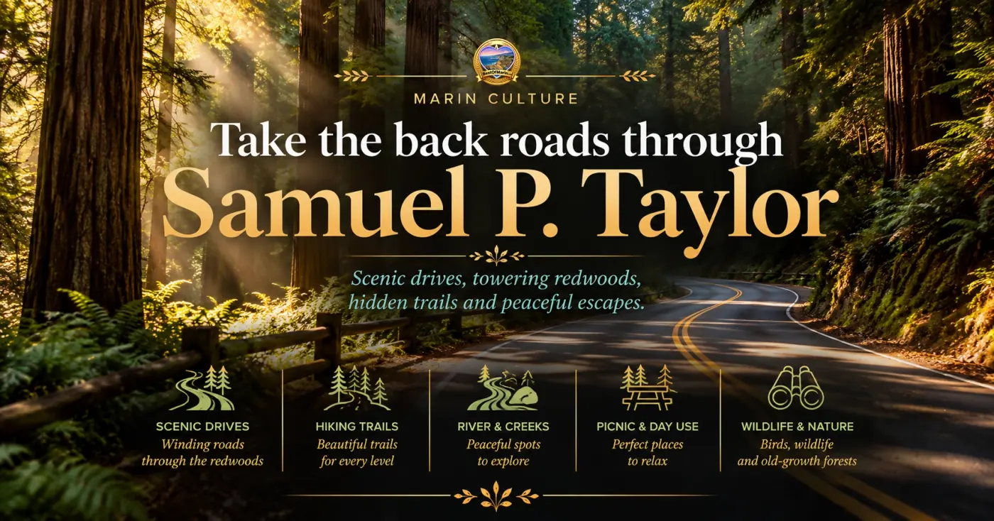 Take the back roads through Samuel P. Taylor State Park