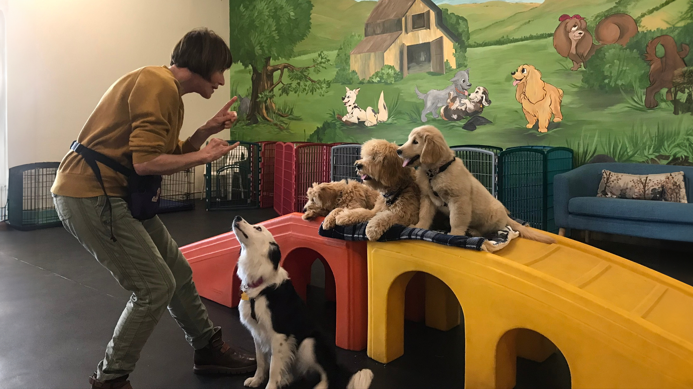 Hillary's Hound House thumbnail