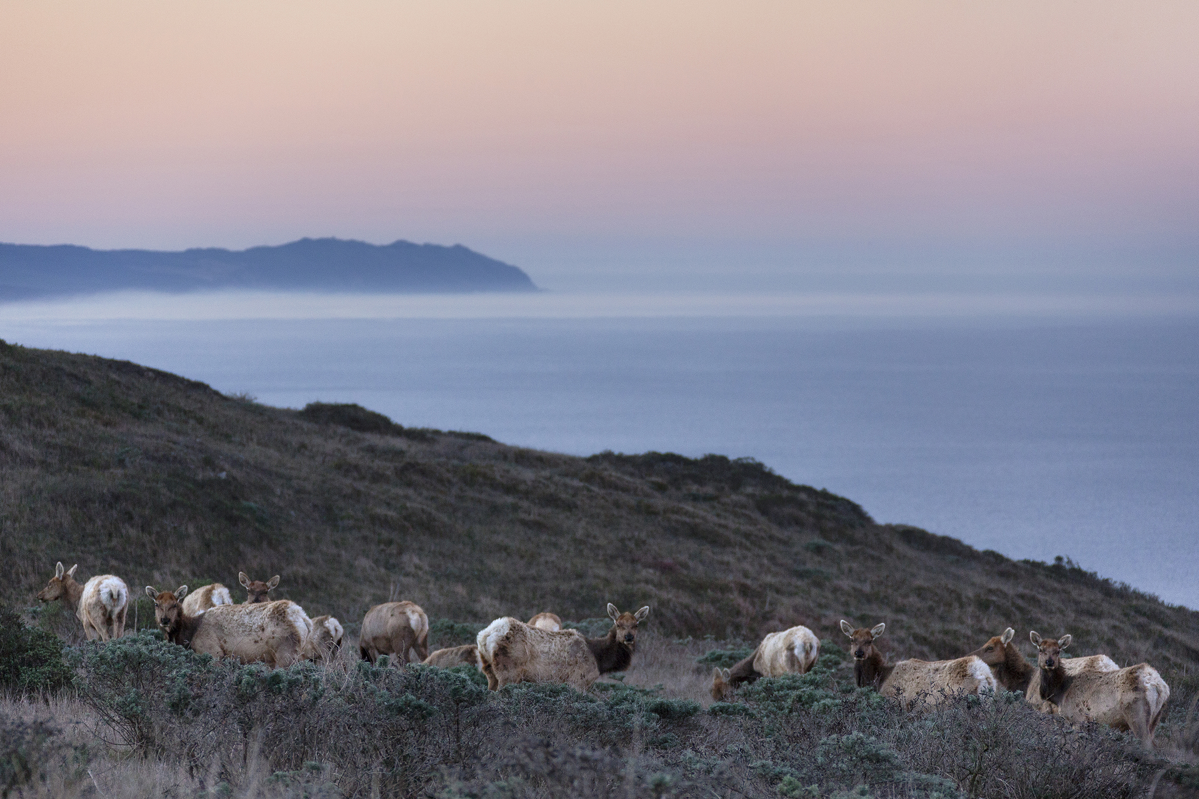 Point Reyes National Seashore