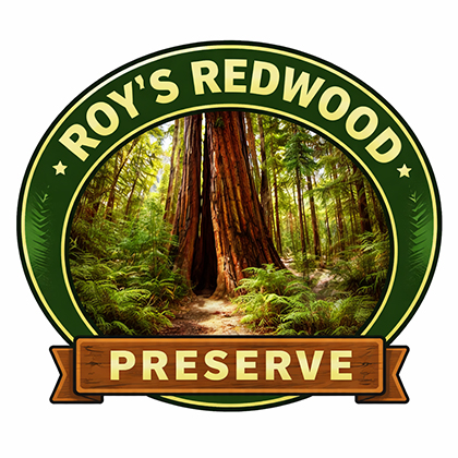Roys Redwoods Preserve