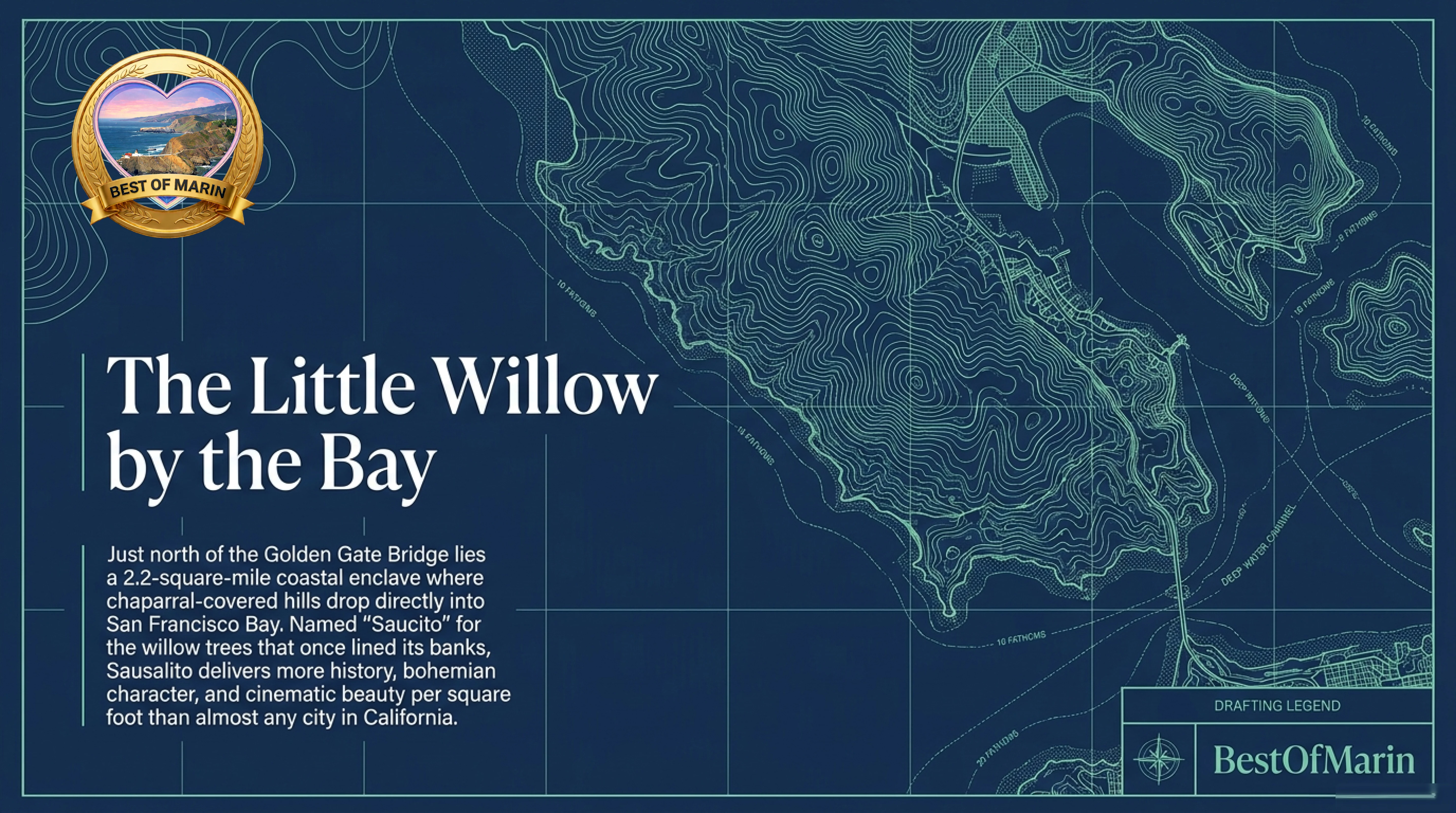 Sausalito field guide image 1