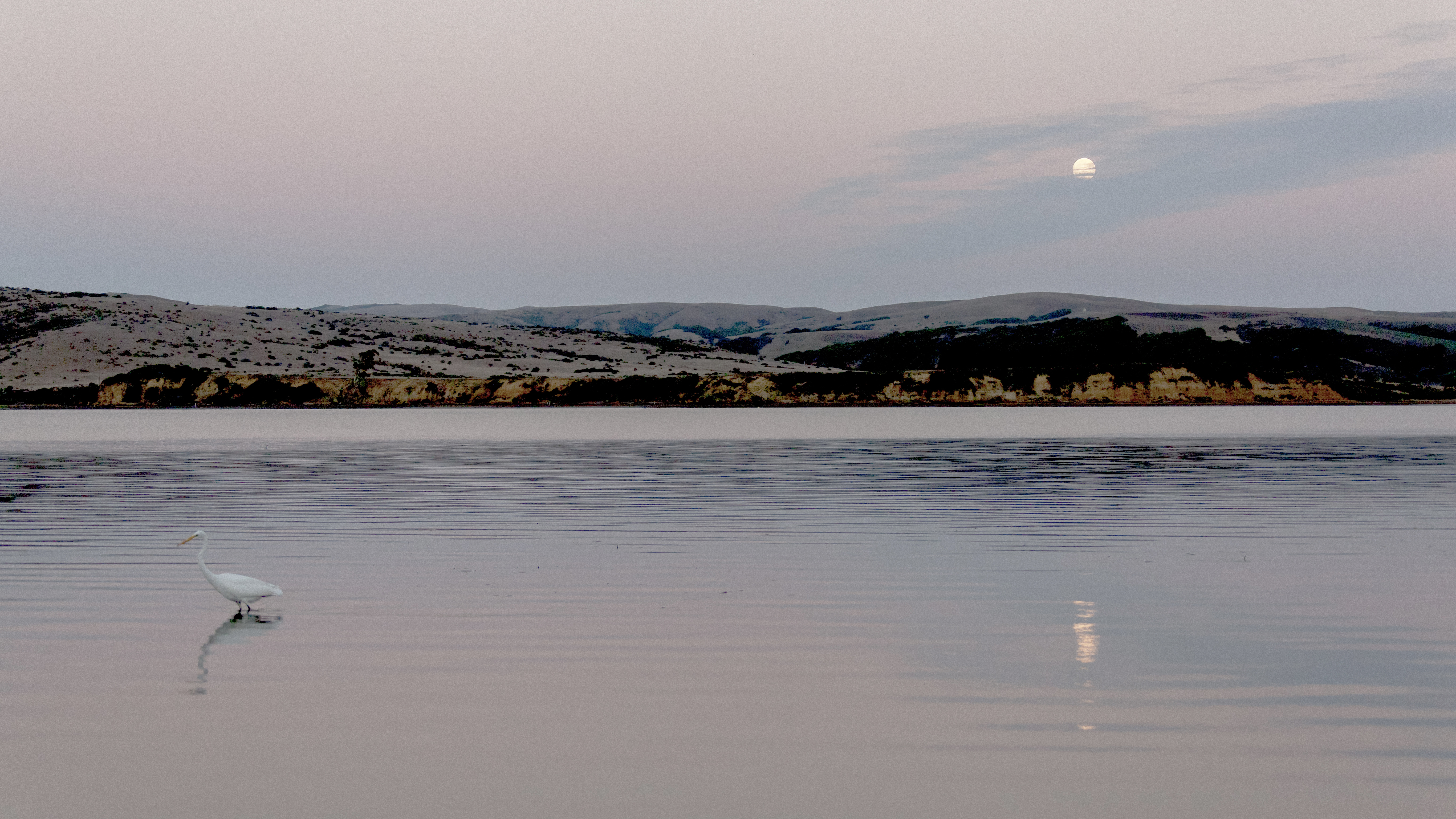 Tomales and Dillon Beach coastal view